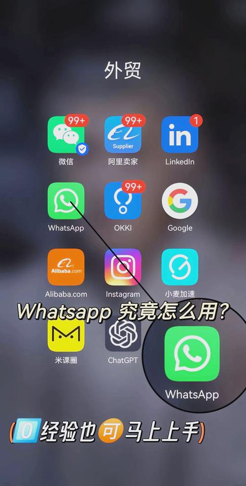 外国app怎么
