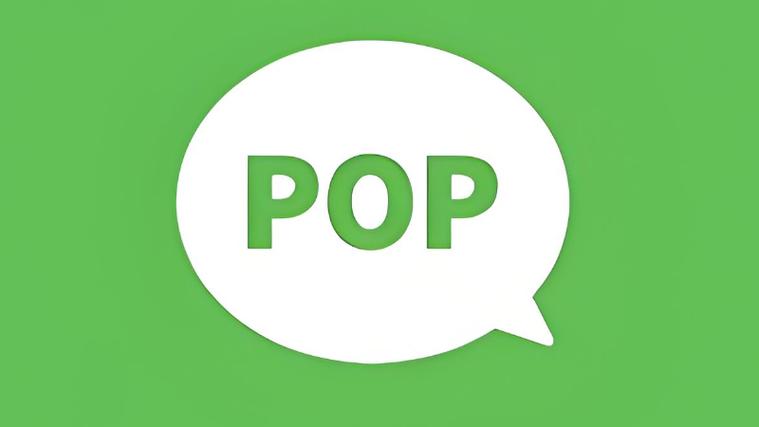 pop最安全的社交软件游戏截图