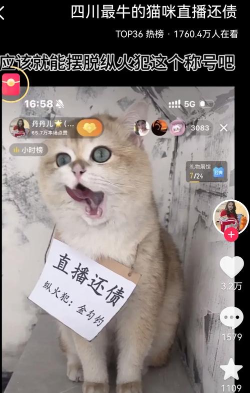 小猫直播改名后叫什么