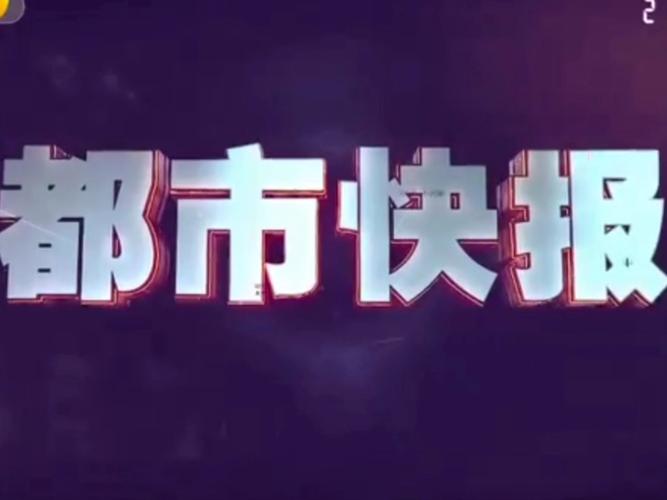 都市快报电子版在线游戏截图
