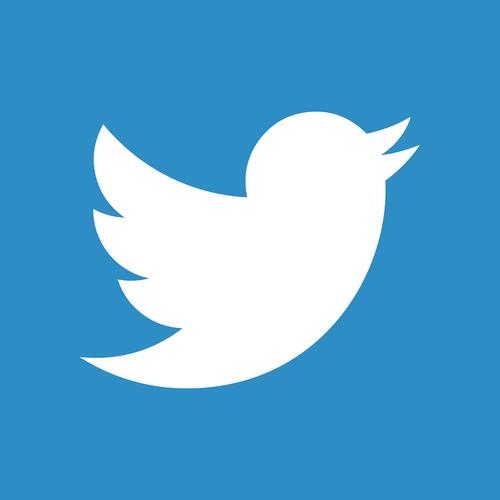twitter老版本小蓝鸟图标安装