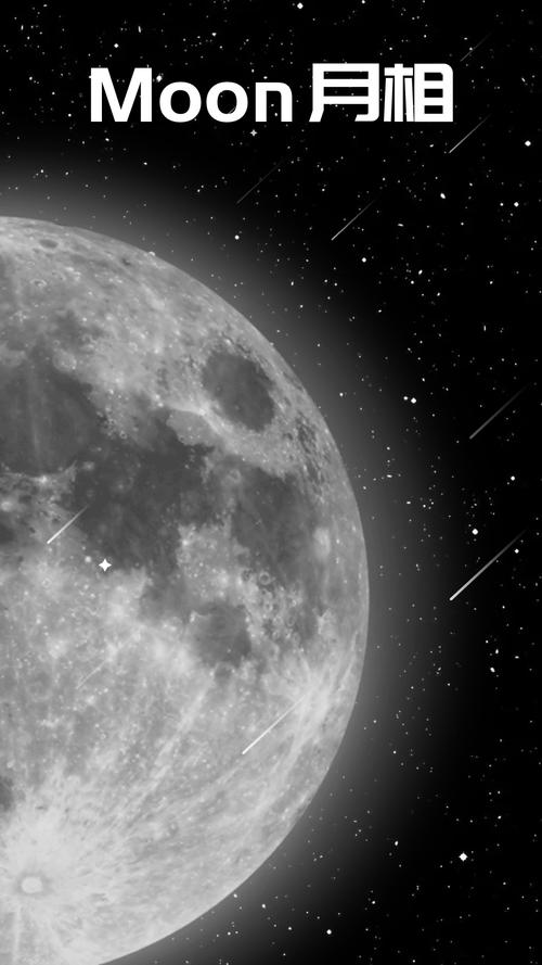 月光加速器官网版MOONLIGHT