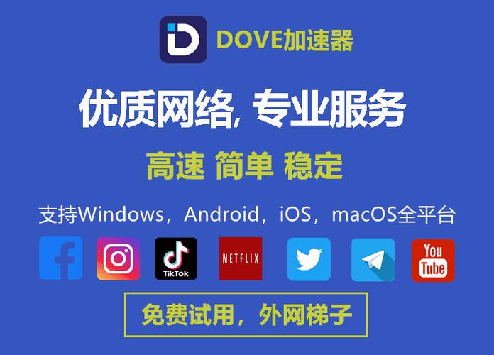 DOVE加速器游戏截图