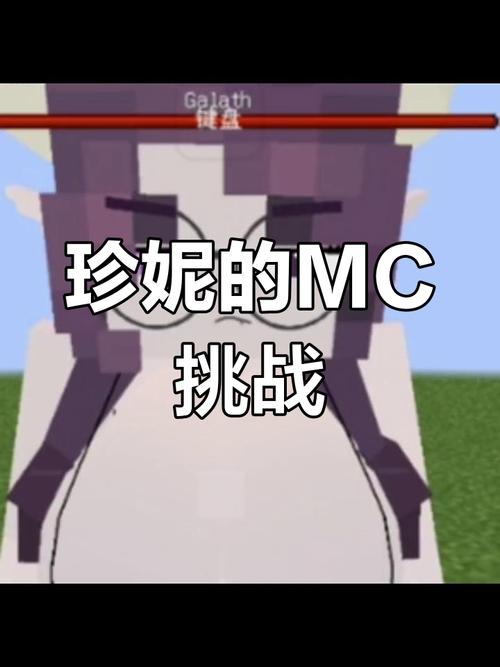 我的世界珍妮游戏截图