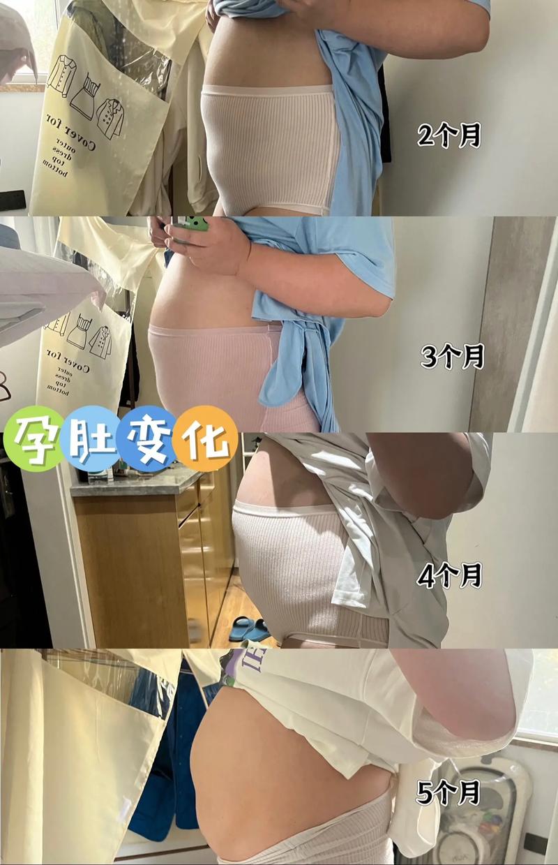 怀孕的人的肚子变化图片大全视频