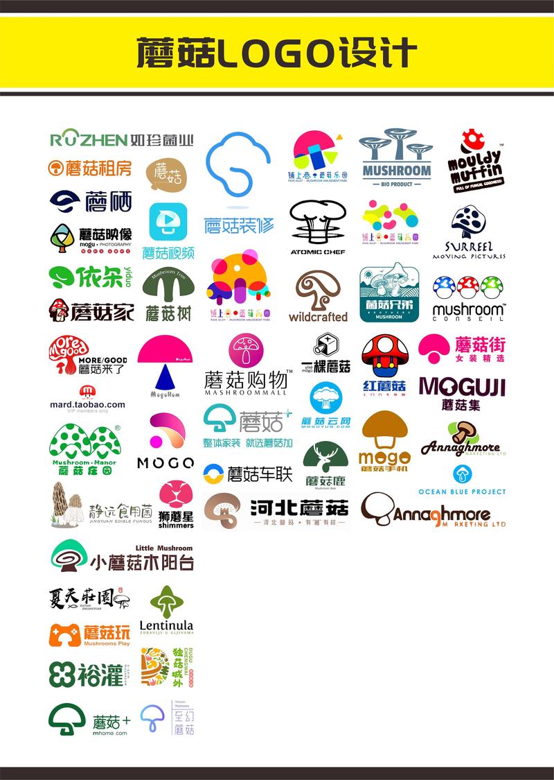 蘑菇官方网站首页