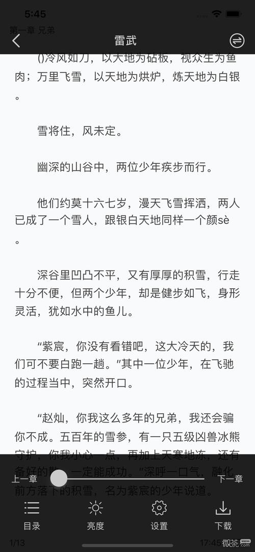 坏坏猫小说旧版
