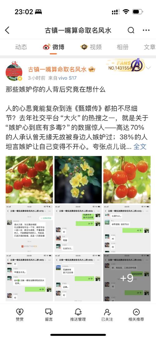 天天爱分享无广告纯净版