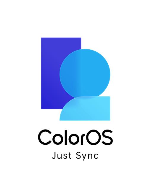 color官网永久不升级游戏截图