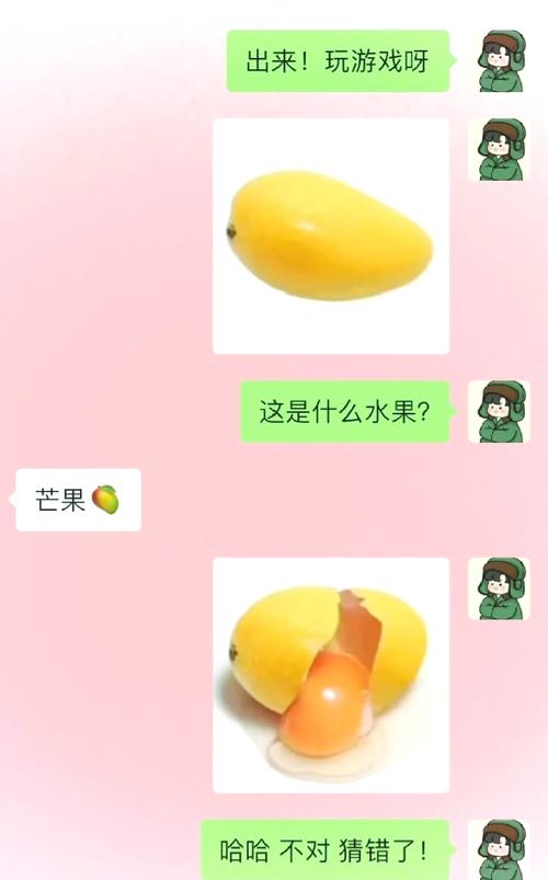 和我猜水果