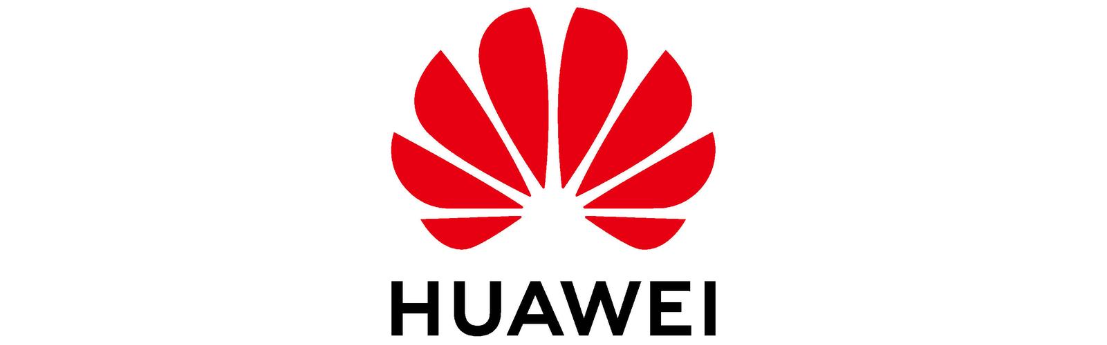 华为直装挂最新版本2023最新版游戏截图