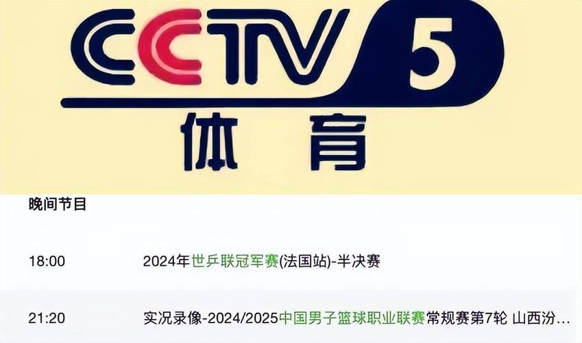 中央体育cctv5直播在线观看游戏截图