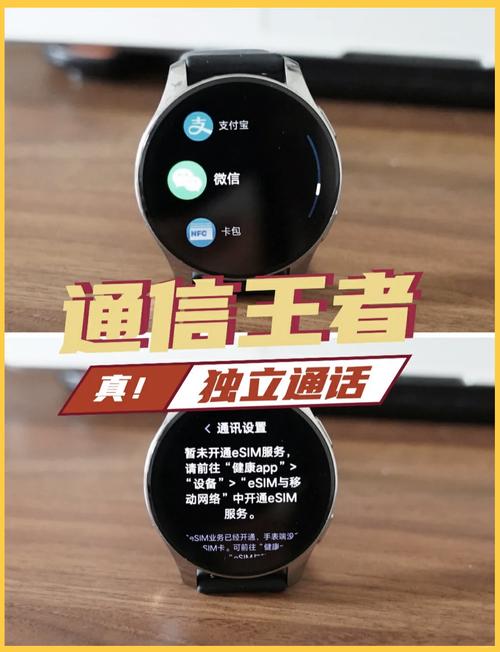 vivowatch2应用商店