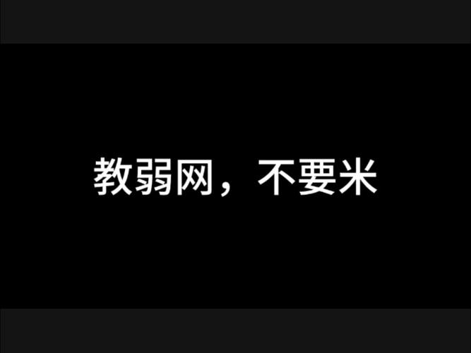 弱网无删减版游戏截图