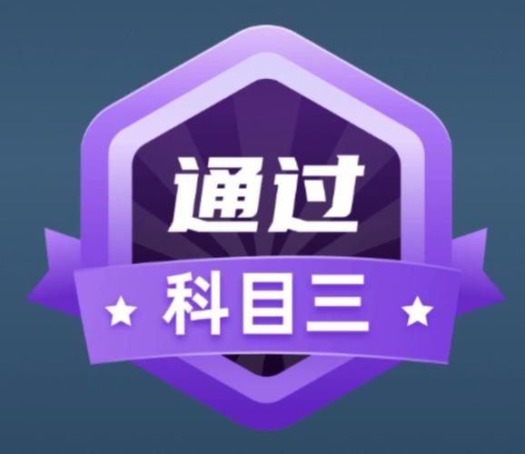 超级教练科三路考系统加速永久游戏截图
