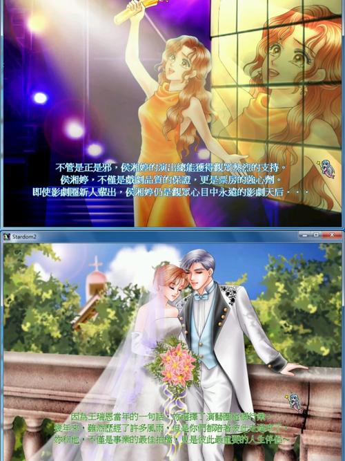 明星志愿2原版游戏光碟