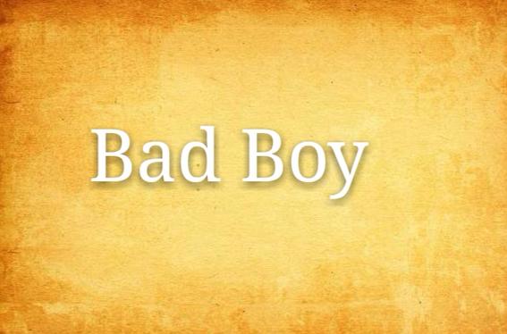 badboy鲍比安游戏特色游戏截图
