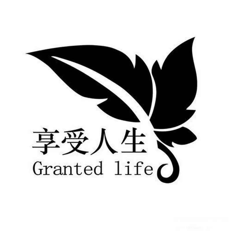 小说,幸福人生缩略图