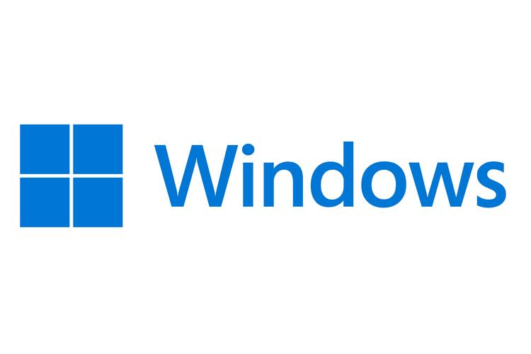 windows网络驱动程序