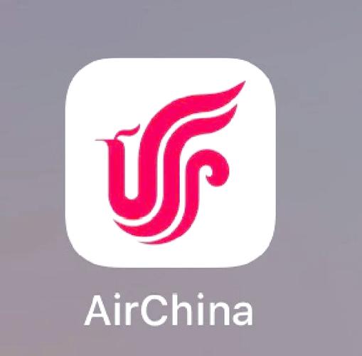 中国国航在线值机挂机辅助无死亡游戏截图