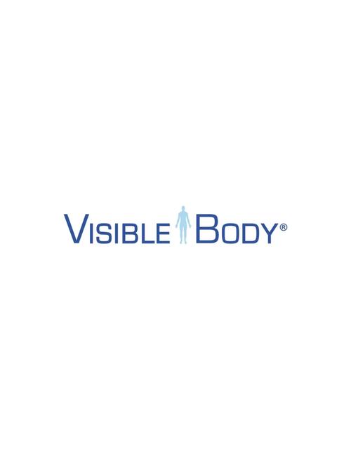 visiblebody安卓版