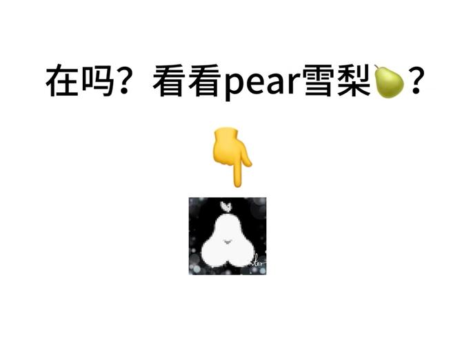 不梨app官网版