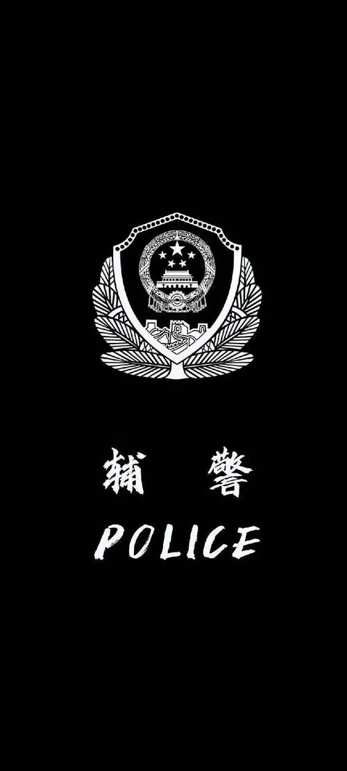 中国警察模拟器手机版官方版游戏截图