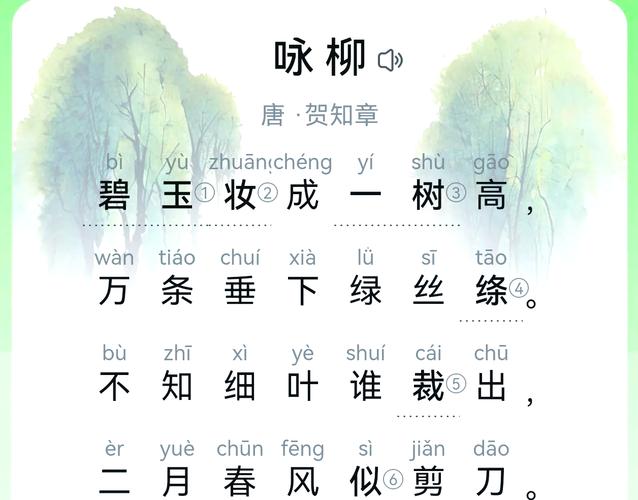 学生正规免费打字柳树网