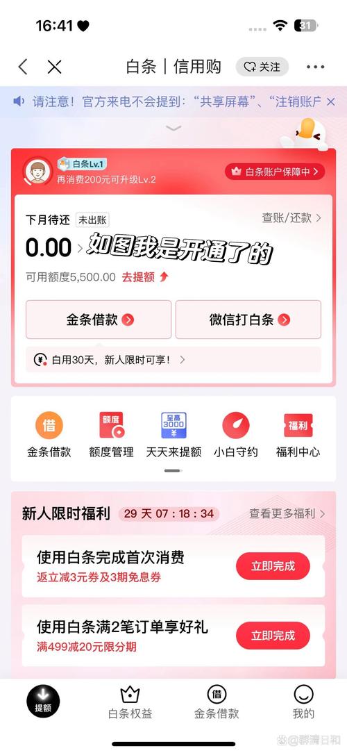 京东白条app官方入口