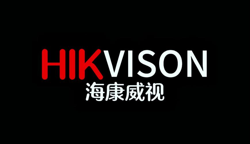 海康威视播放器官方游戏截图