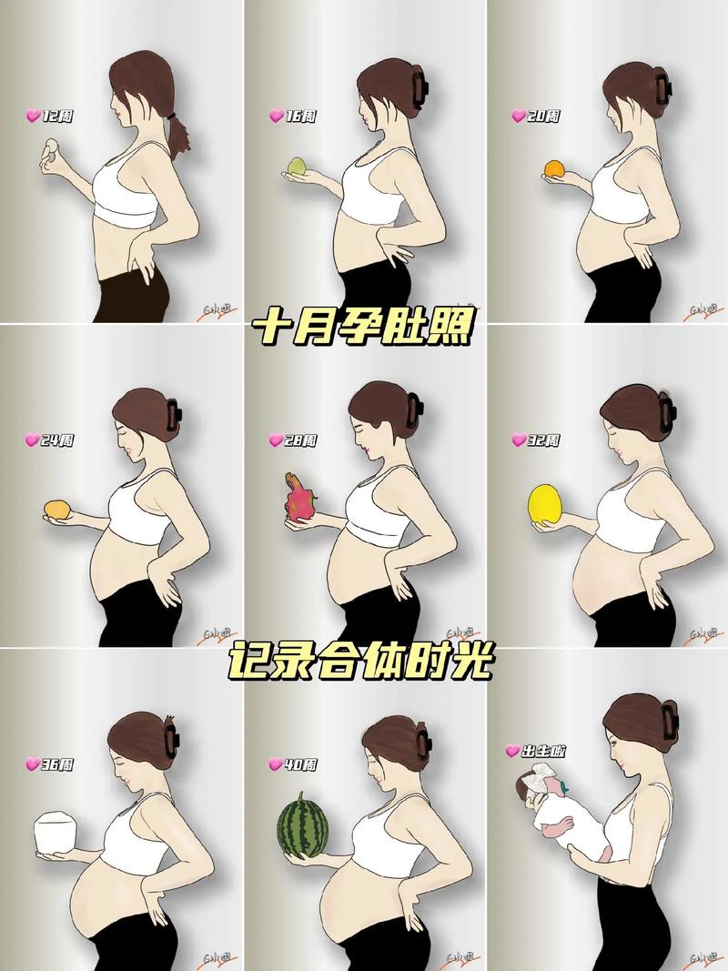 怀孕过程肚子的变化的视频 很大游戏截图