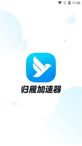 归雁加速器免费版最新版永久会员app游戏截图