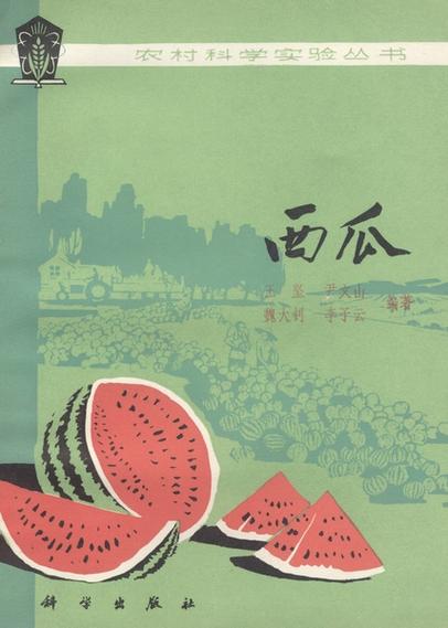 西瓜书游戏截图