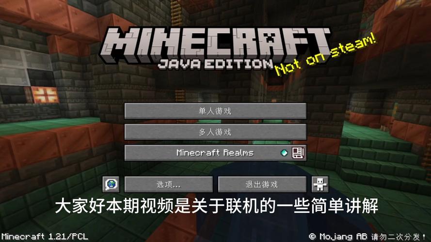 我的世界联机侠官网游戏截图