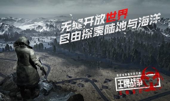 王牌战争jk画质助手