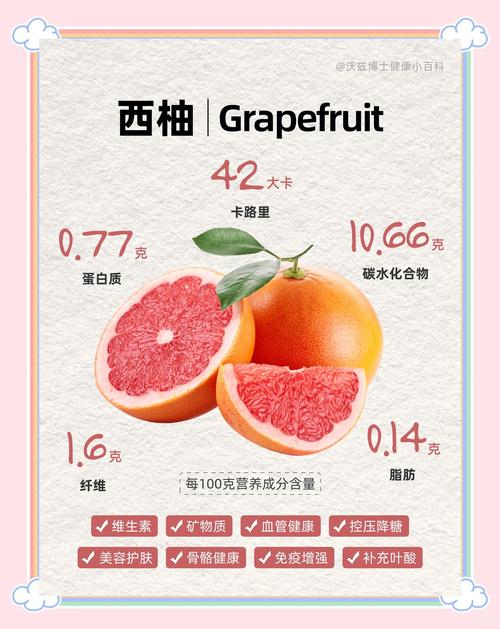 西柚短视频-西柚短视频红包最新版游戏截图