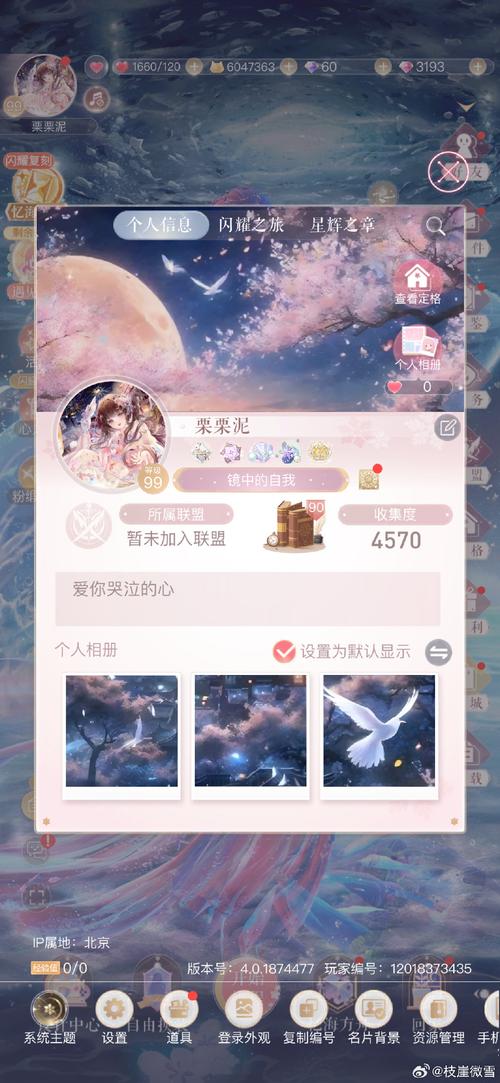 闪耀暖暖助手中文版游戏截图