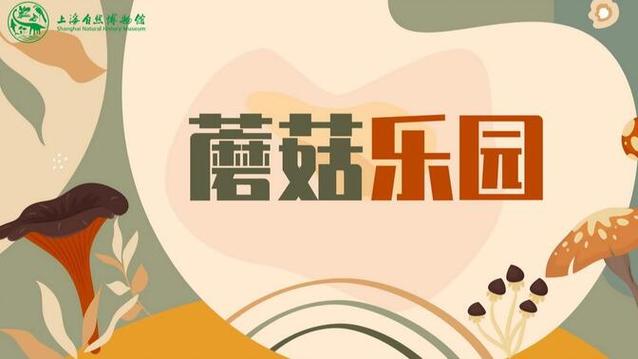 蘑菇乐园重制版游戏截图