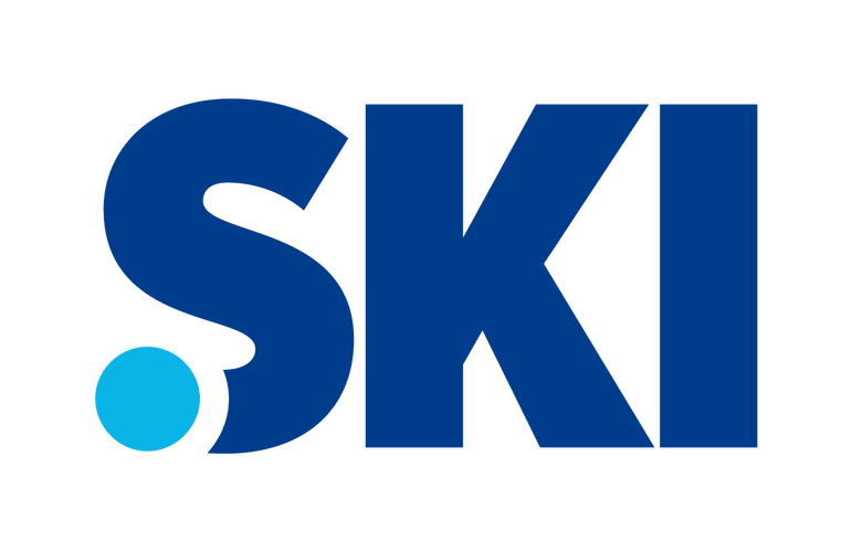 skidsense官网入口游戏截图