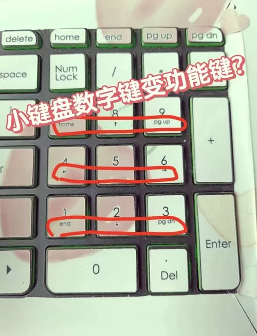 键盘旁边的小键盘数字打不出来缩略图
