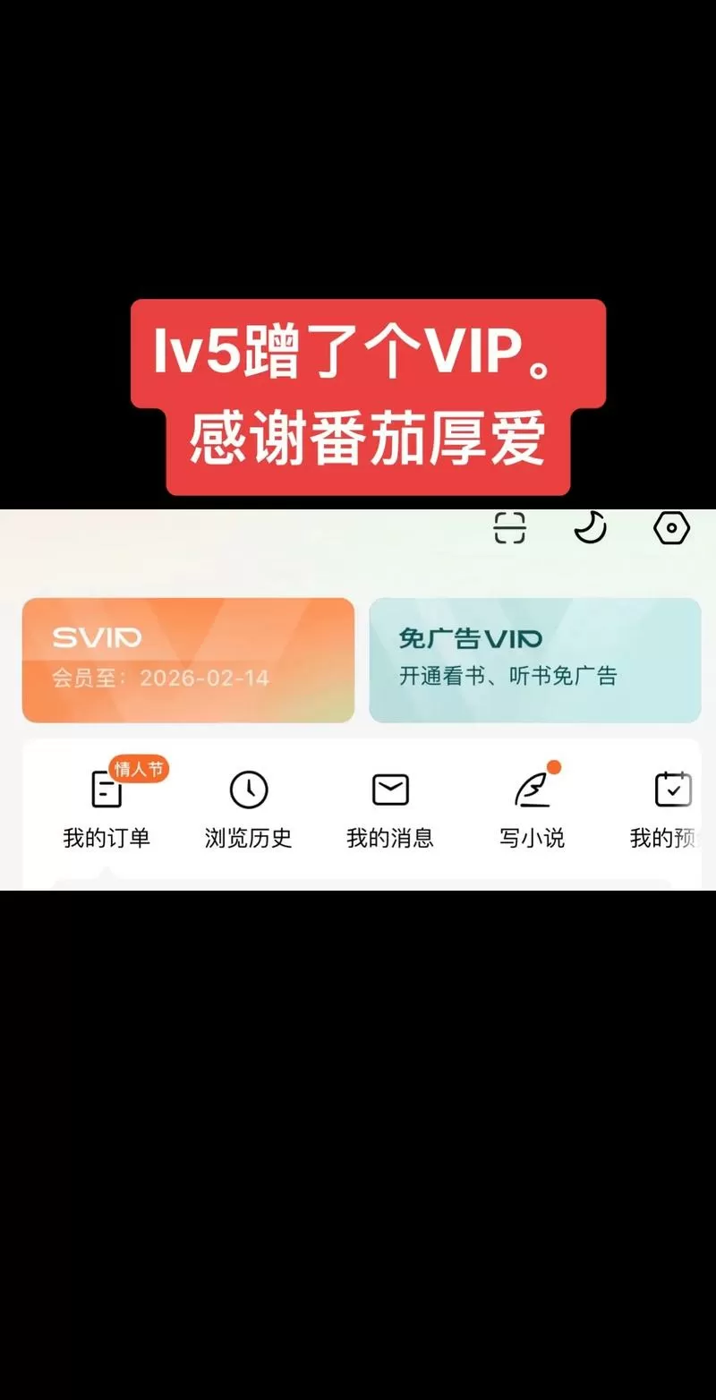 番茄vip破解2099版图标