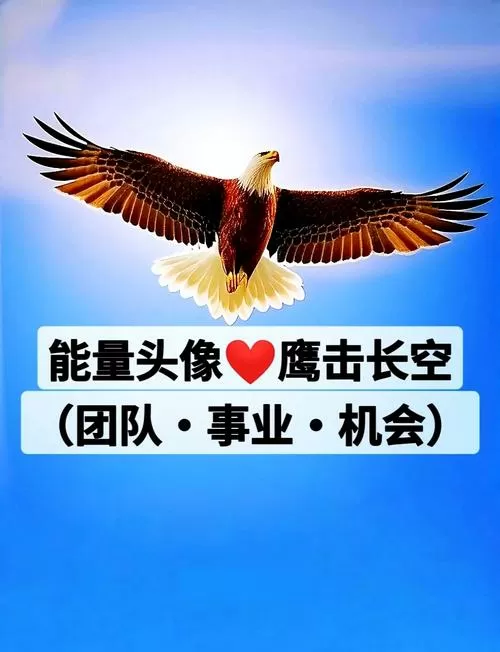 鹰击长空手机版官网图标
