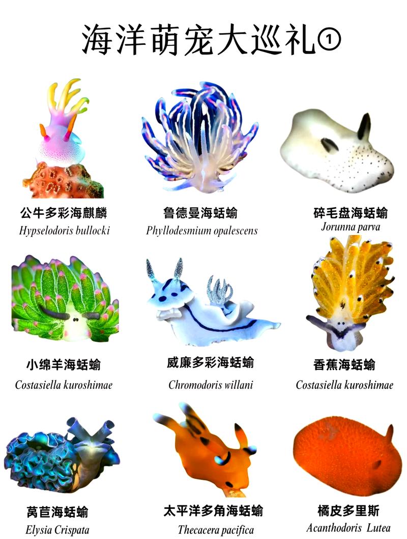 海兔快讯