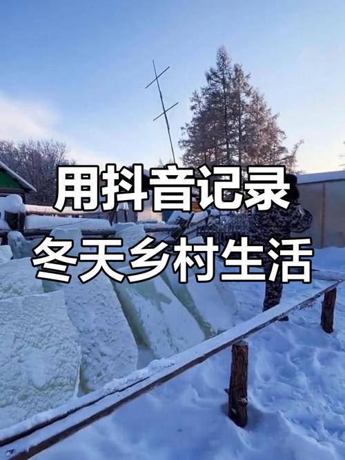 冬日乡村生活汉化版游戏截图