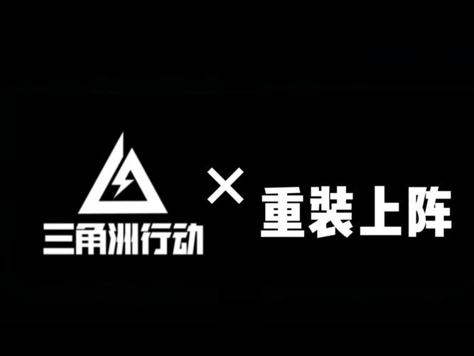 重装上阵白夜辅助黑色版免墙版轻量版游戏截图