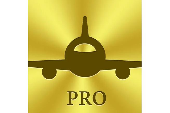 飞常准pro破解版极速版2023游戏截图
