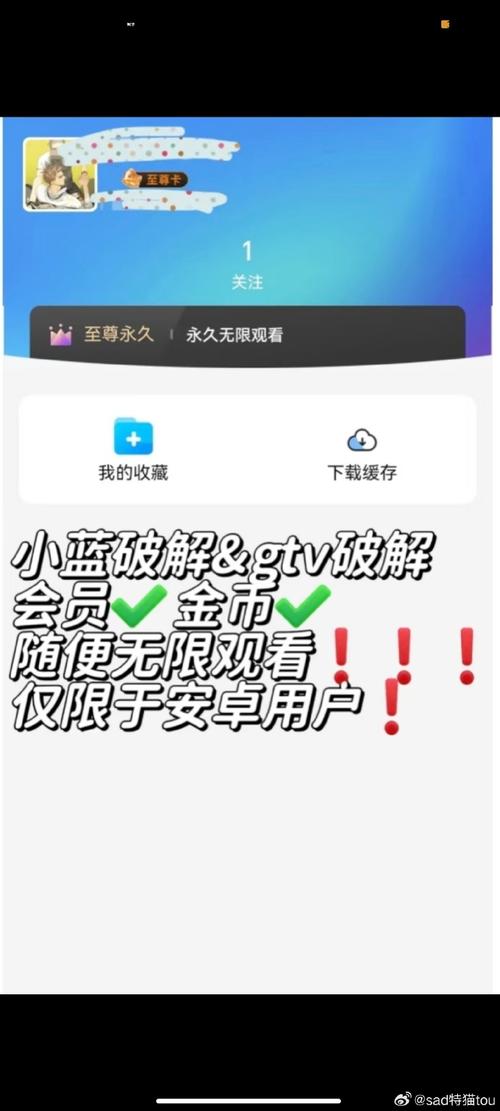 小蓝破解版卡密谁有正式版