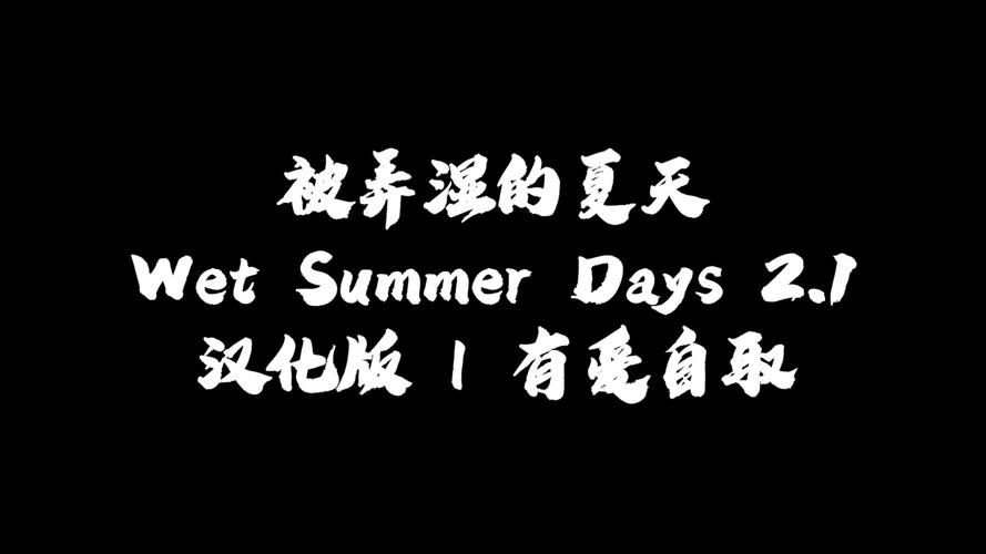 被弄湿的夏天汉化版