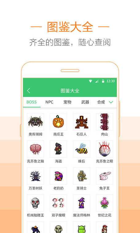 泰拉瑞亚盒子助手下载汉化版游戏截图