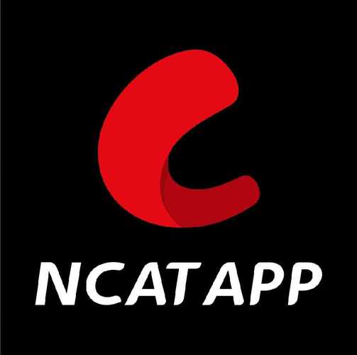 网飞猫2025年最新版永久vip无广告